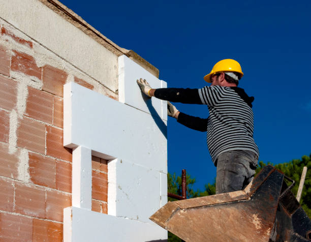 Best Residential Insulation in Tarkio, MO