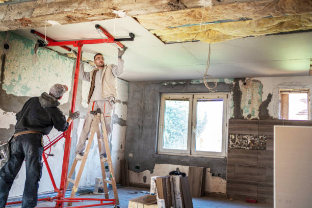 Best Cellulose Insulation in Tarkio, MO